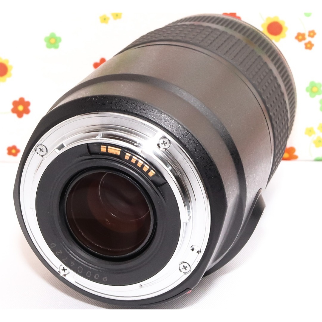 Canon - Canon EF 75-300mm IS USM☆遠くの一瞬をブレずに捉えるの通販