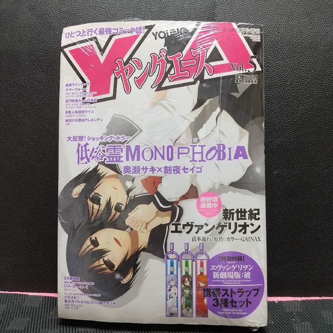 月刊ヤングエース 2009年5月号※『ヱヴァンゲリヲン新劇場版:破