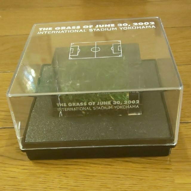 2002 FIFA ワールドカップ 決勝の芝 【横浜国際総合競技場の芝】の通販