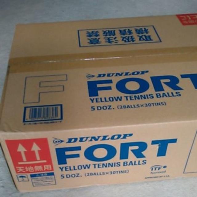 DUNLOP - 最安値に挑戦！！ ☆DUNLOPFORT☆新品ダンロップフォート2個