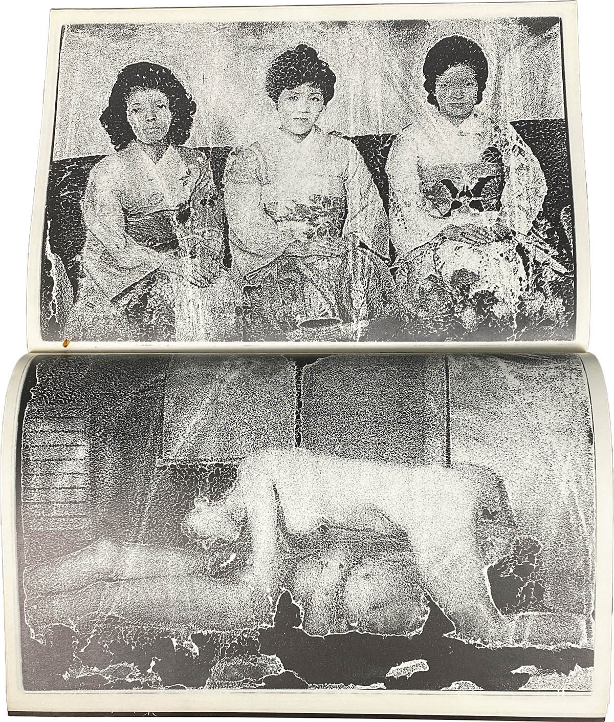 9009] 荒木経惟「荒木経惟 直筆サイン本「終景」」