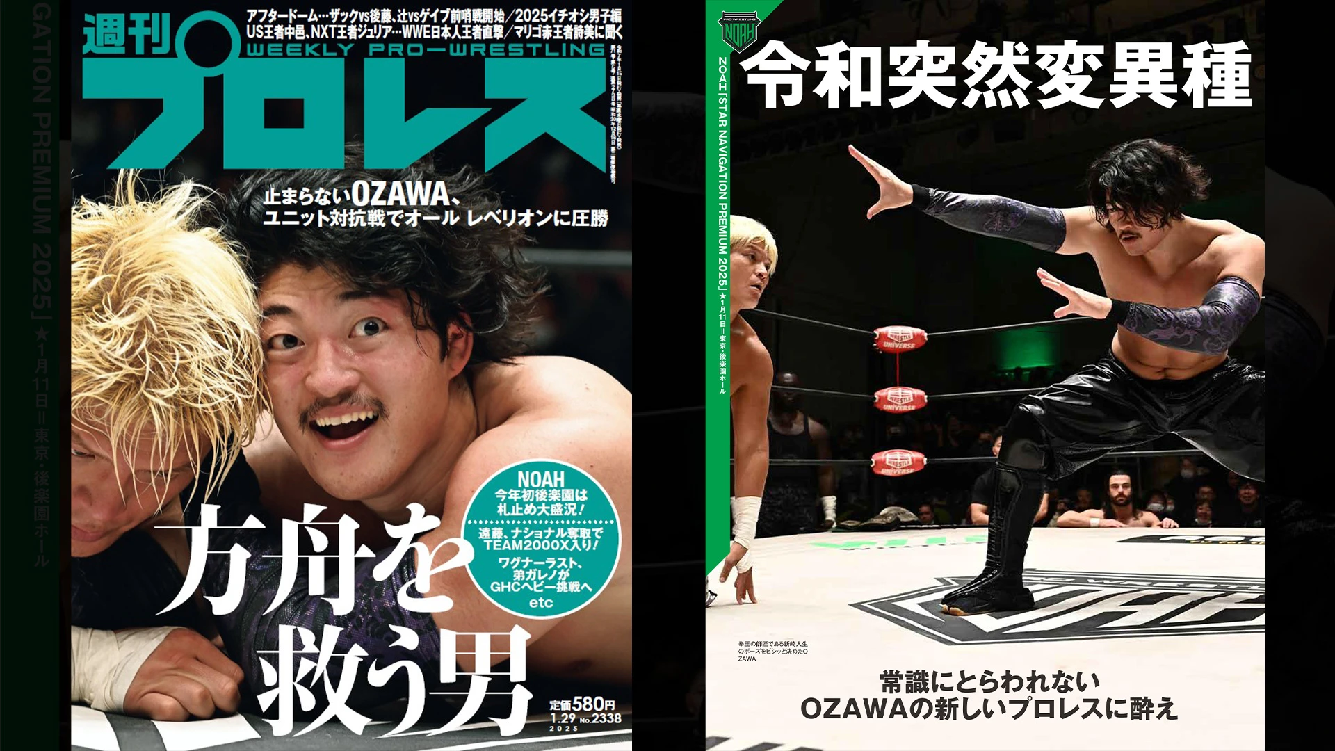 1月15日（水）発売の「週刊プロレス」1月29日号（No.2338） | プロレス