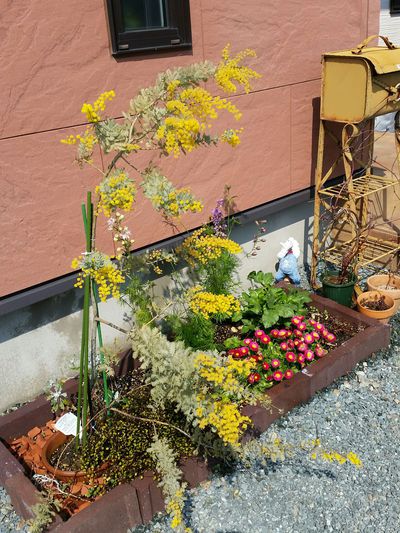 お家のこと色々:暖吉くんのレンガで花壇