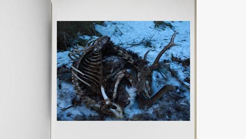 石川竜一: いのちのうちがわ