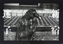 梁丞佑 | Yang Seung-Woo: 新宿迷子 | Shinjuku Lost Child (signed)