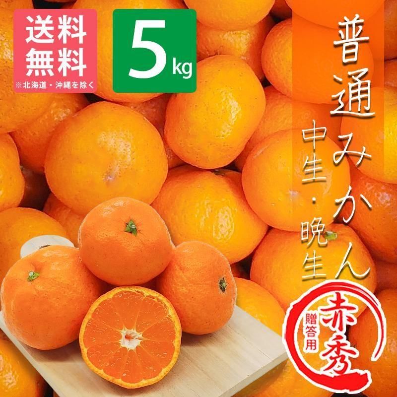 贈答用】 和歌山県産 有田みかん 普通みかん（中生／晩生） 5kg | 有田