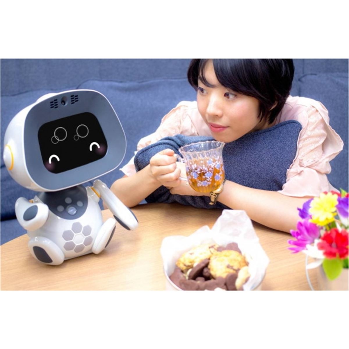 ソフトバンク、学習型のパートナーロボット「ユニボ（家庭向け）」取扱