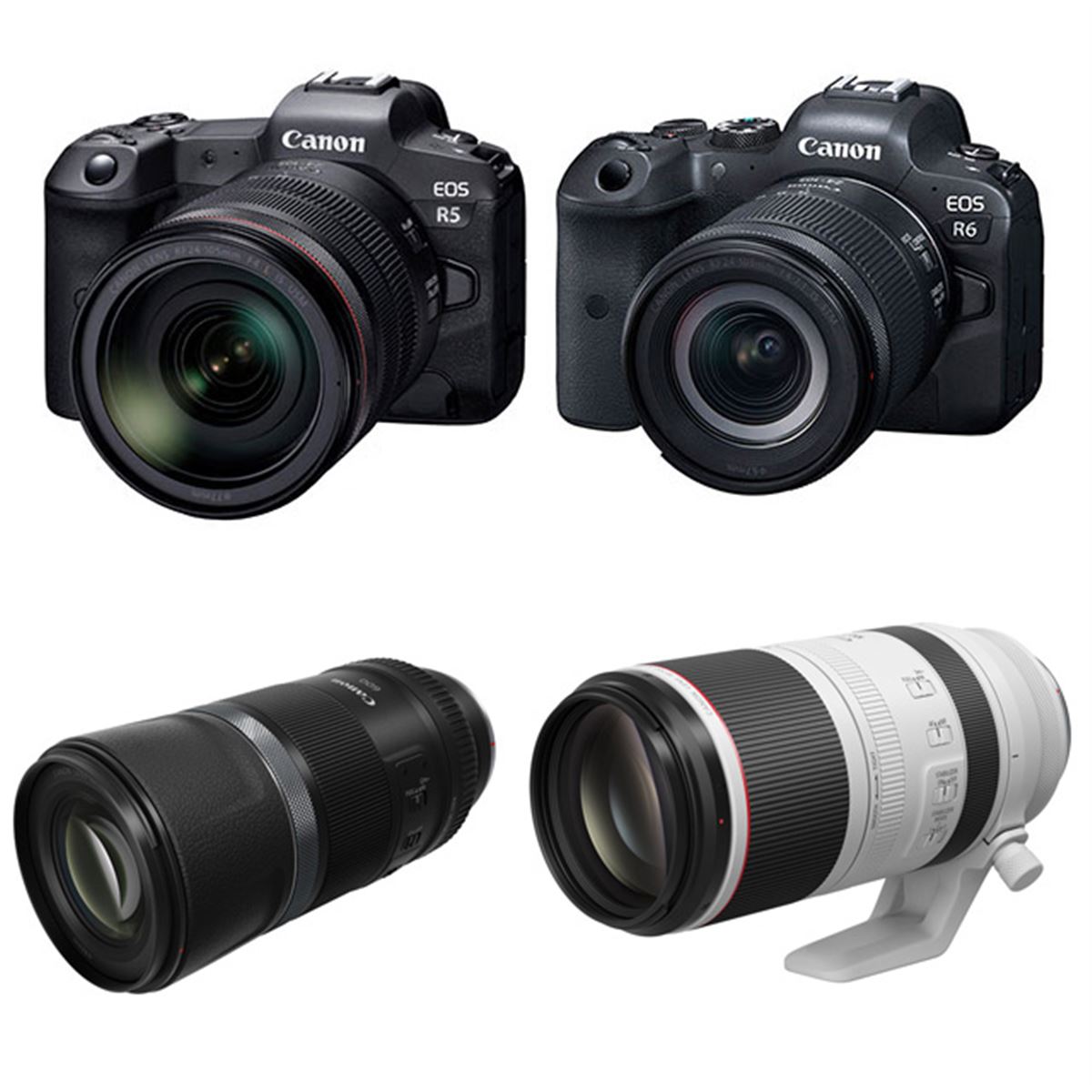 キヤノンまとめ】次世代フルサイズ「EOS R5」「EOS R6」や新RFレンズ