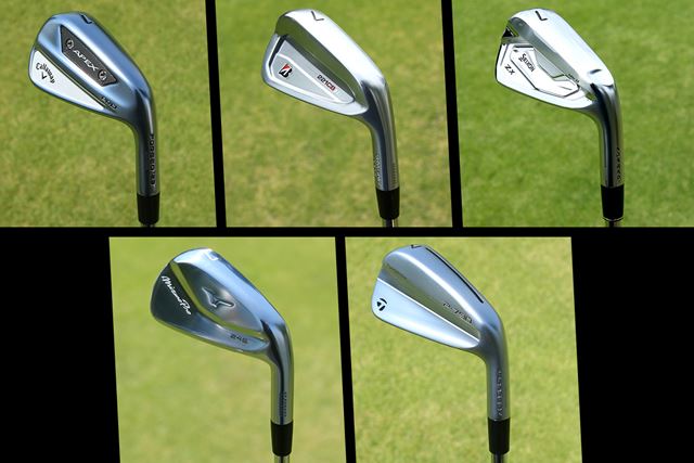 ミズノ Mizuno Pro 245 アイアン 6本セット [ダイナミックゴールド 95