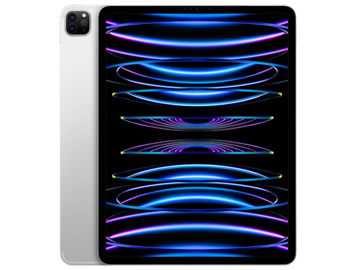 Apple iPad Pro 12.9インチ 第5世代 Wi-Fi+Cellular 256GB 2021年春