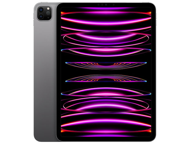 Apple iPad Pro 11インチ 第4世代 Wi-Fi 256GB 2022年秋モデル MNXF3J