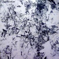 Voices From The Lake - Voices From The Lake - Lighthouse Records