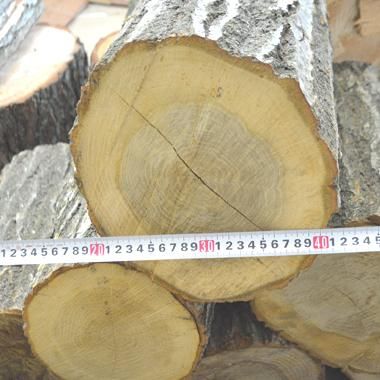 ナラの薪】 径20～30 × 長30～40cm1本モノ- キャンプ用品 | 防災グッズ