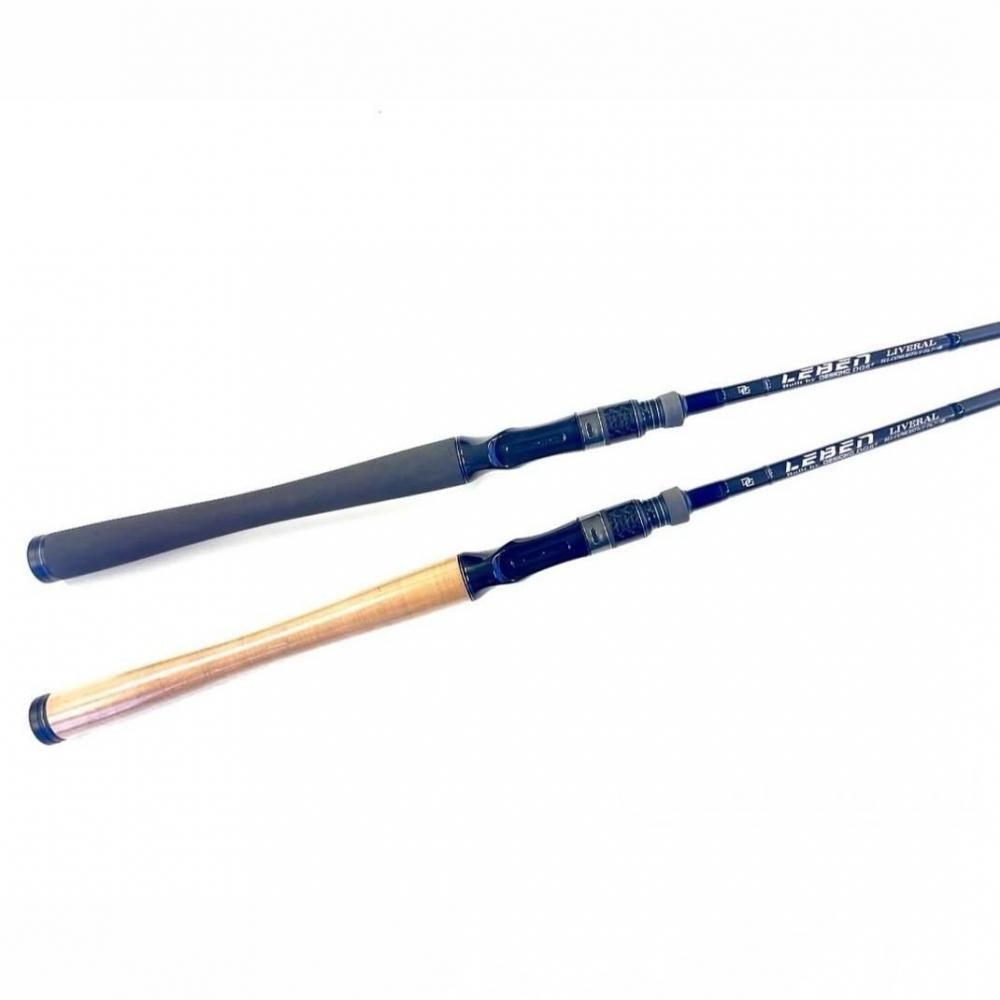 予約販売】デジーノ/レーベン リベラル [DLL-C67MLRST1s] 【25年10月