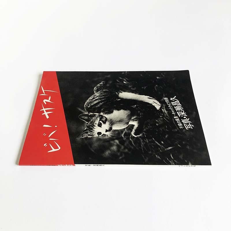VIVA! SASUKE by Masahisa Fukase *signedビバ！！サスケ 子猫の風景