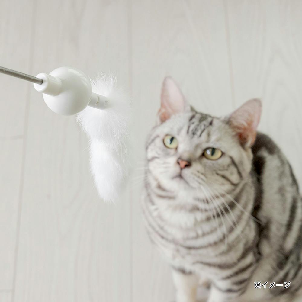 KIRA交換できる電動オートスピンねこじゃらし | ペット用品（猫） 通販