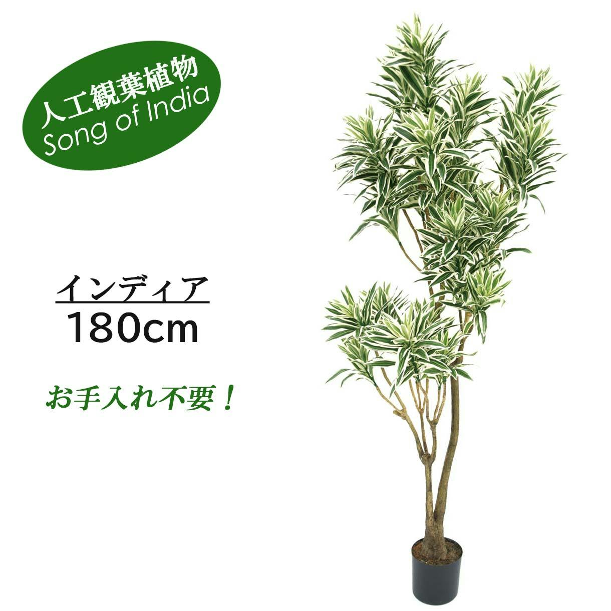 GREEN COFFRET インディア180cm 人工観葉植物 フェイクグリーン