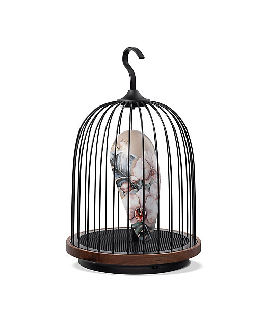 ☆【産直】ジングーLED照明＆ワイヤレススピーカー 各種