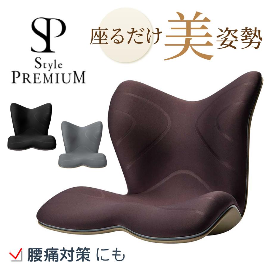 Style（スタイル） 姿勢 サポートチェア MTG スタイルプレミアム Style