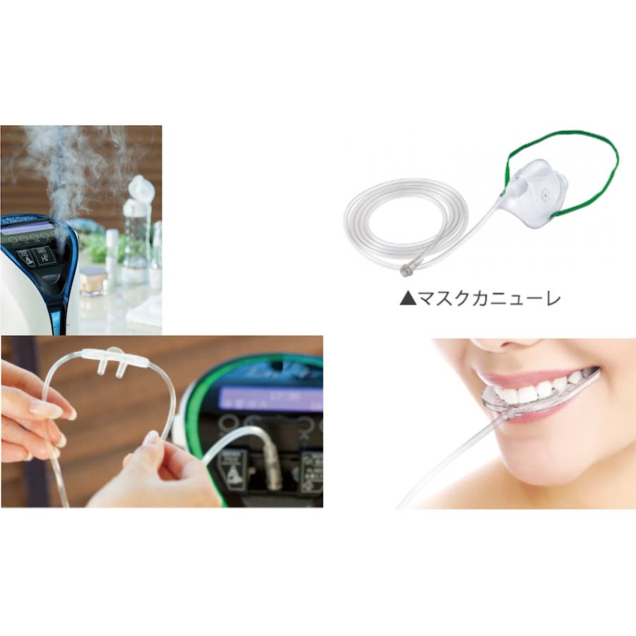 クリスマス 年末年始 限定2個特別価格 お取り寄せ商品 水素ガス生成器