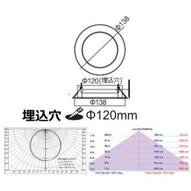 LEDダウンライト 12W 埋込穴φ120〜φ125 天井埋込 シーリングライト