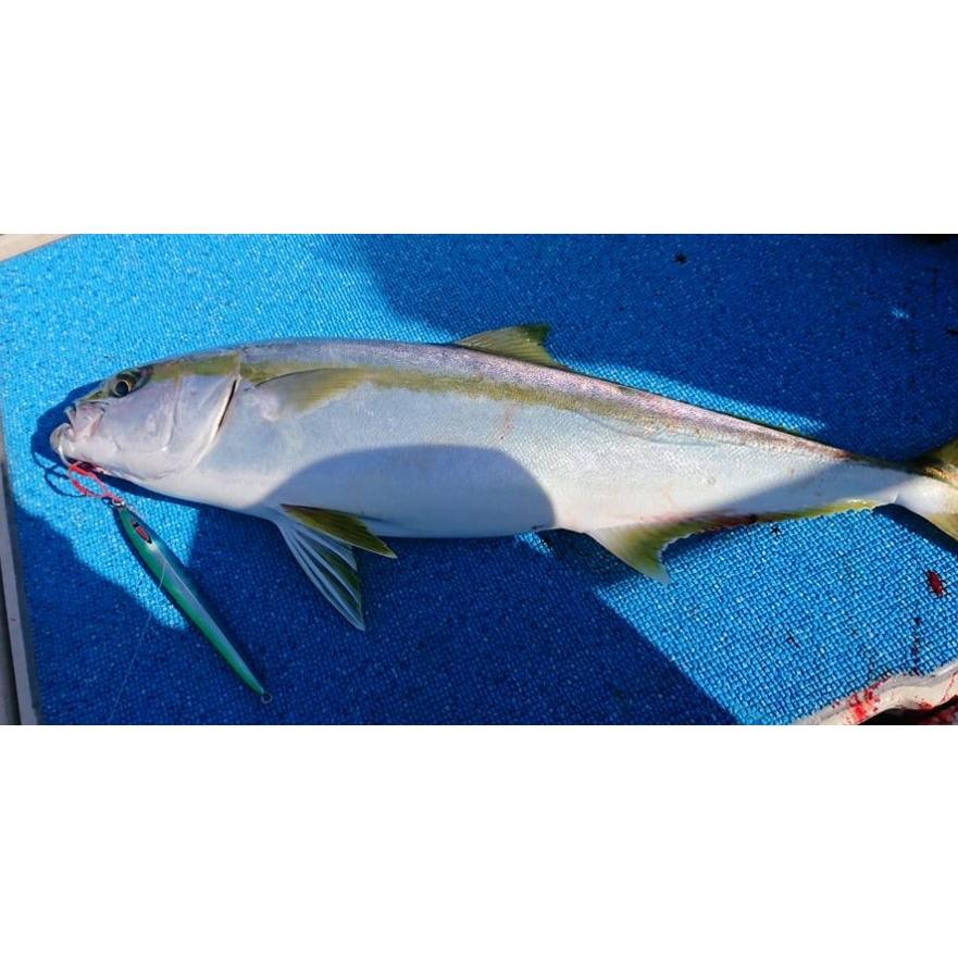 SEAFLOORCONTROL（シーフロアコントロール） メサイアセミロング 420g