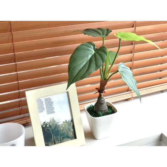 観葉植物 フェイクグリーン 光触媒 アロカシア 30cm 人工観葉植物 卓上
