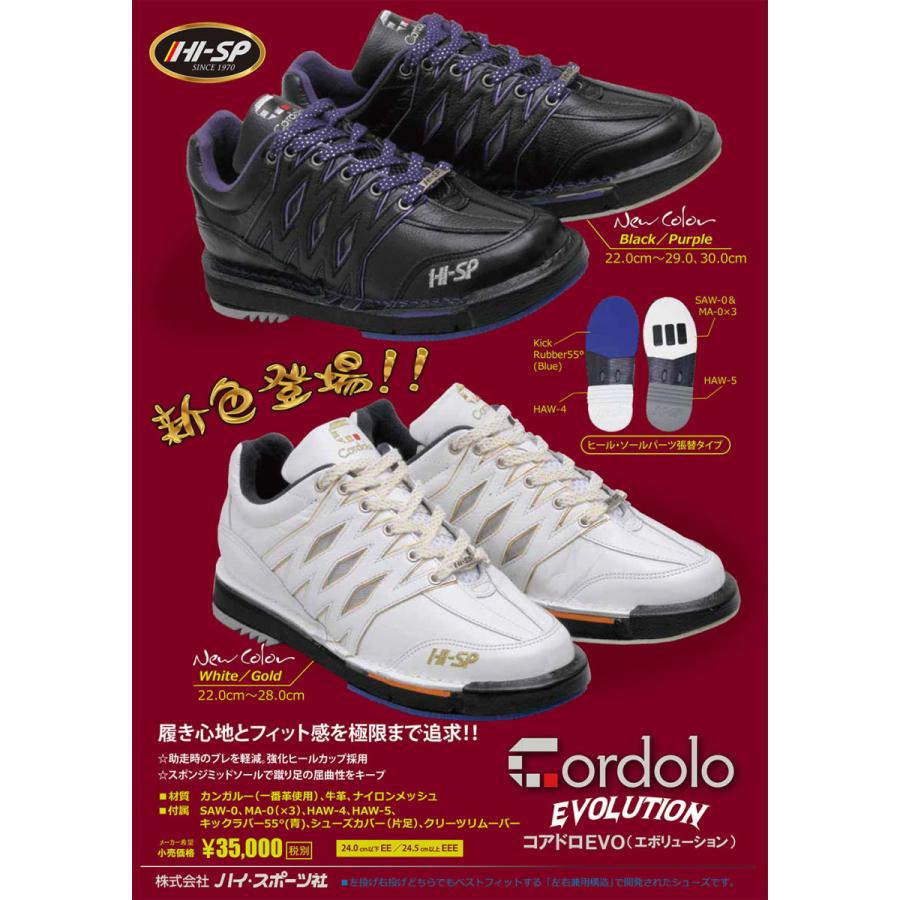 HI-SP Cordolo EVO コアドロ エボリューション ハイ スポーツ