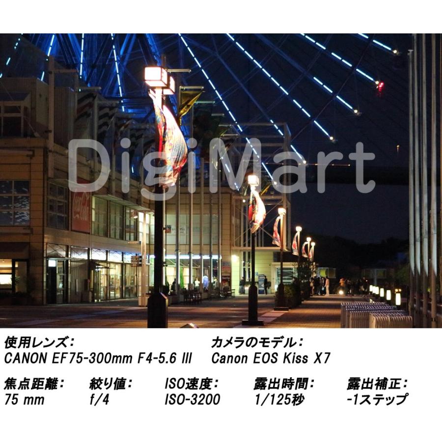 EFレンズ キヤノン Canon EF75-300mm F4-5.6 III 激安望遠ズームレンズ
