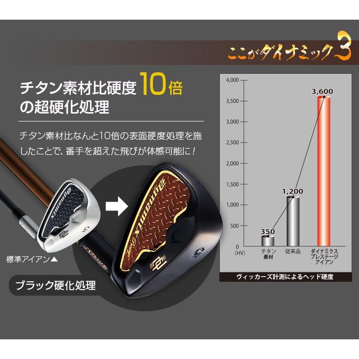 DYNAGOLF（ダイナゴルフ） ゴルフ アイアンセット 6本 メンズ 新品 5I