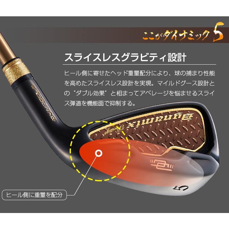 DYNAGOLF（ダイナゴルフ） ゴルフ アイアンセット 6本 メンズ 新品 5I