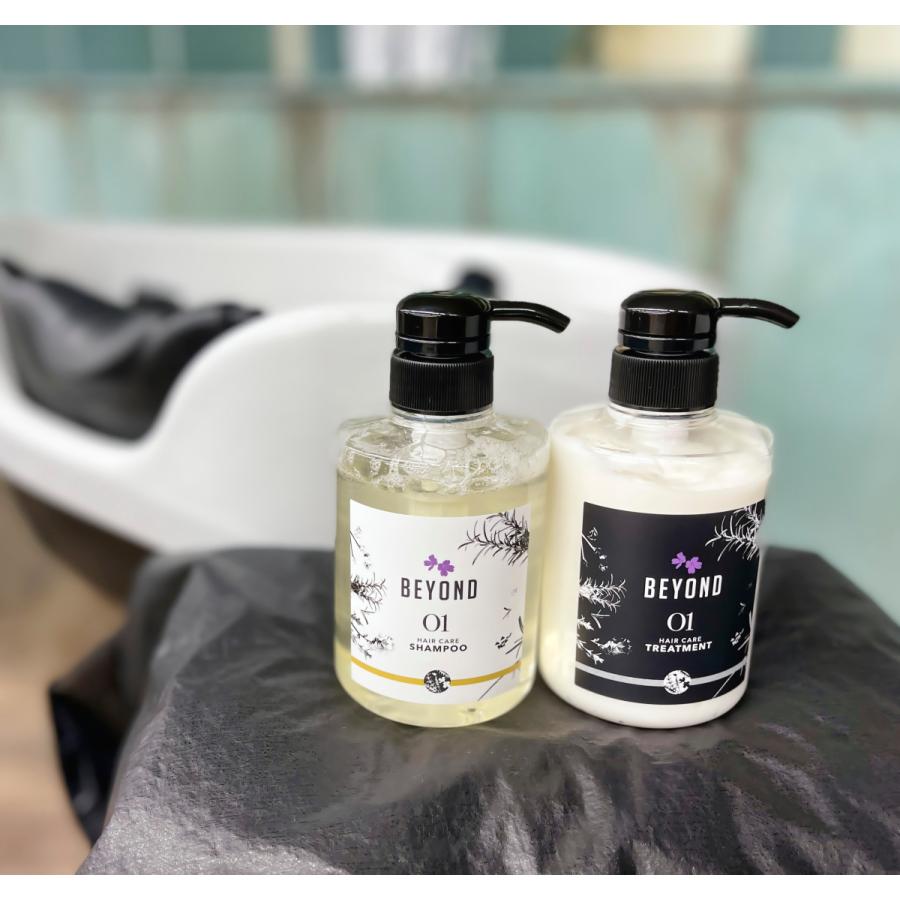 数量限定】BEYONDお試しセット（ 01ヘアケアシャンプー400ml ＋ 01