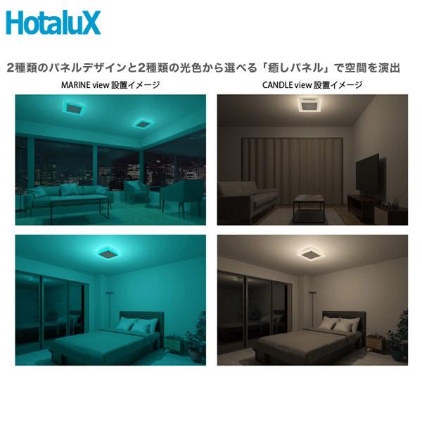 ホタルクス 「メーカー在庫限り廃盤」 NEC HLDC08V001BSG HotaluX VIEW