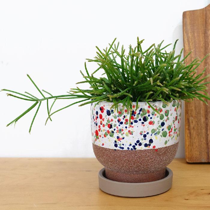 資 植木鉢 NA027-120 MD ホワイト＆ブラウン カラフルドット 陶器 鉢