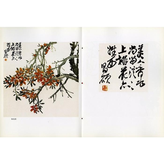 水墨画 / 水墨画集 中国画集 墨彩画 絵手紙 日本画 参考本 [呉昌碩 花