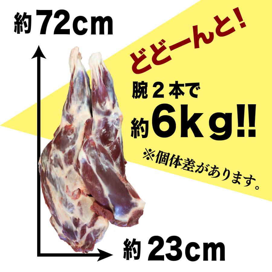 北海道産】エゾシカ肉/鹿肉/シカ肉/ジビエ/送料無料 骨付き腕（2本で