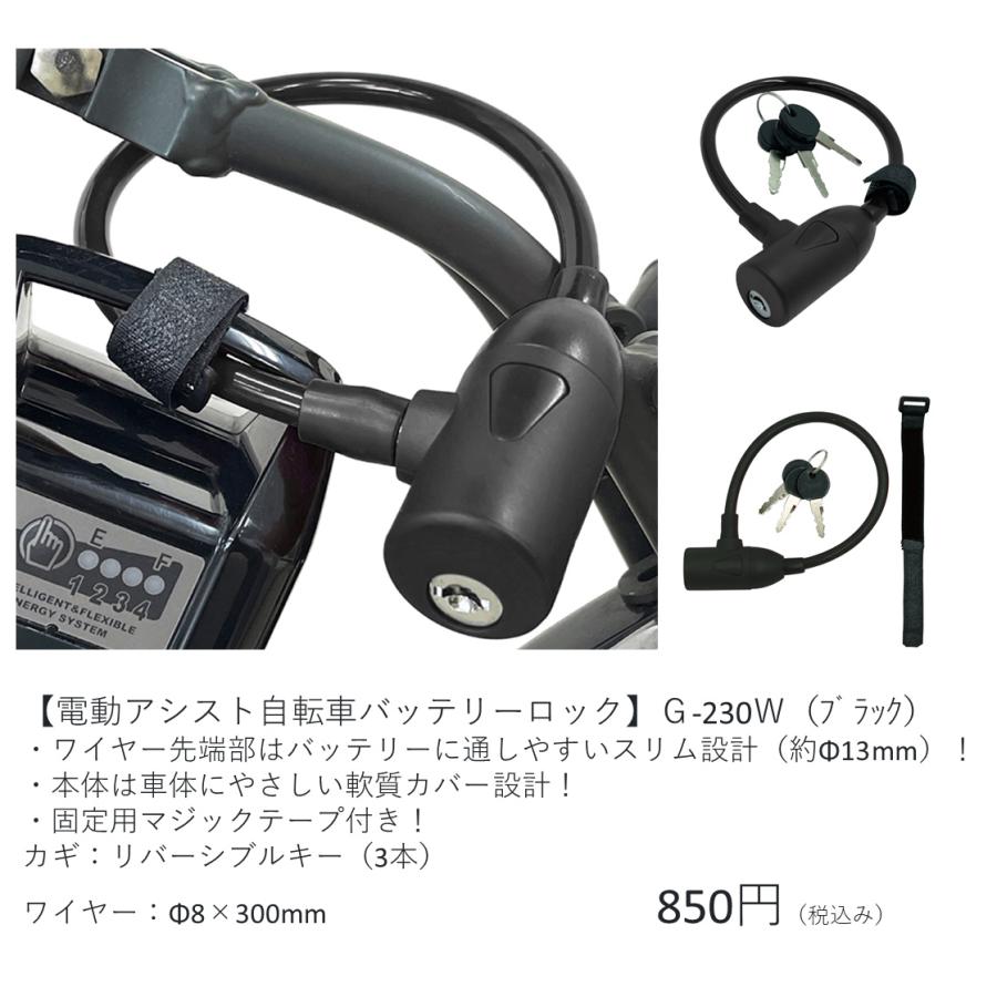 Panasonic（パナソニック） 電動自転車 グリッター（GLITTER） 12.0Ah