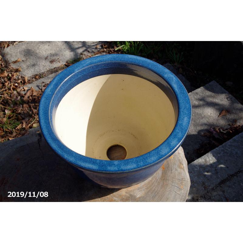 信楽焼 植木鉢 陶器 大型 生子輪型 13号（直径40.5cm 高さ22cm