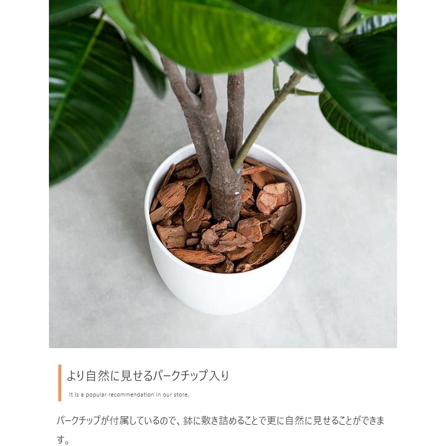 光触媒 人工観葉植物 オリーブ 高さ125cm フェイクグリーン 抗菌 防臭