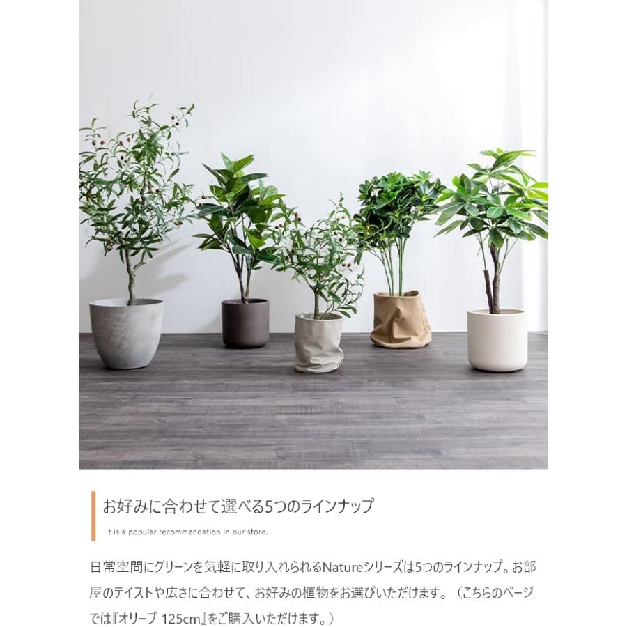 光触媒 人工観葉植物 オリーブ 高さ125cm フェイクグリーン 抗菌 防臭