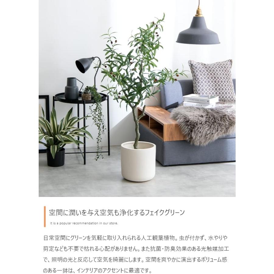 光触媒 人工観葉植物 オリーブ 高さ125cm フェイクグリーン 抗菌 防臭
