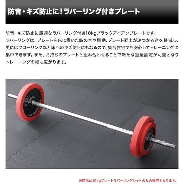 1年保証 バーベル 用 プレート 10kg 2個セット ブラックアイアン +