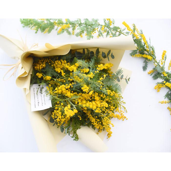 プリティ マーメイド 生花からドライを楽しむミモザスワッグ ミモザ