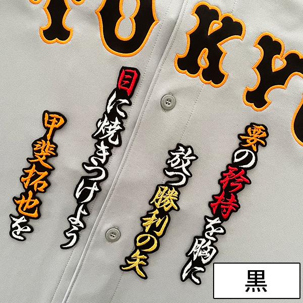 メール便送料無料】読売 ジャイアンツ 巨人 刺繍ワッペン 甲斐 応援歌