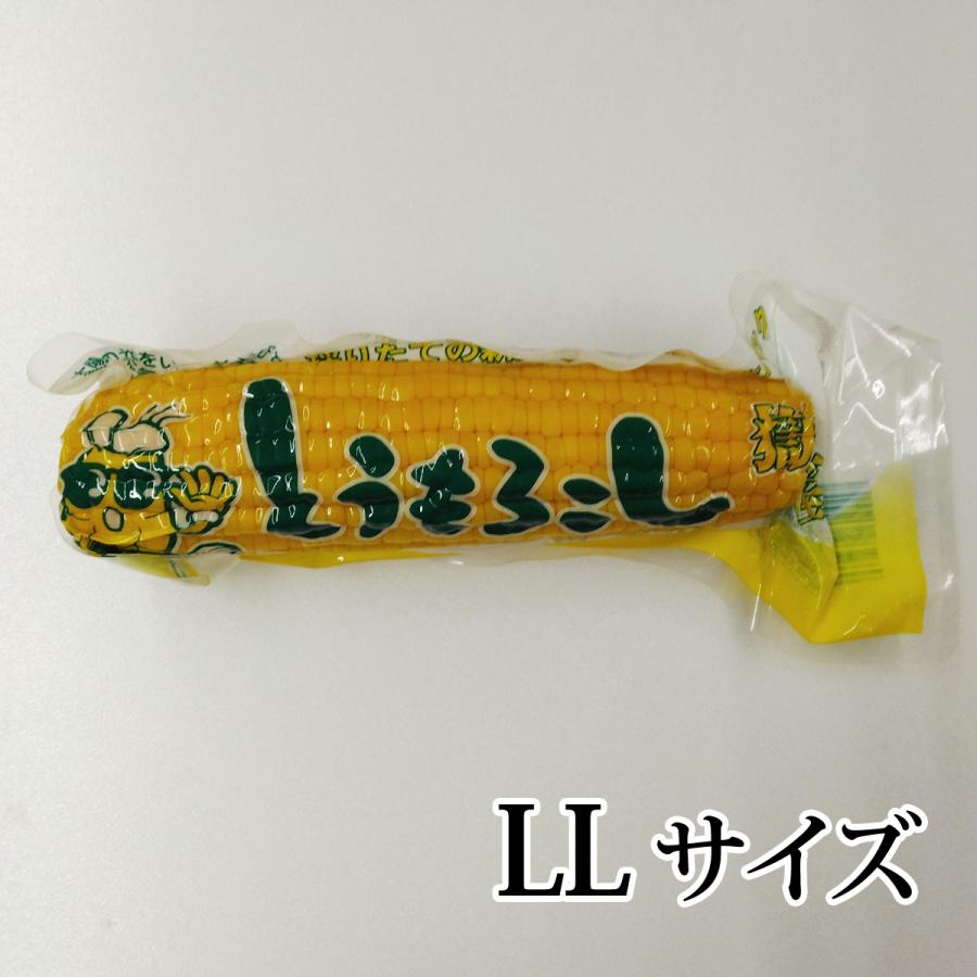 岩木屋 嶽きみ 真空パック LLサイズ バラ売り : カブセンターYahoo!店