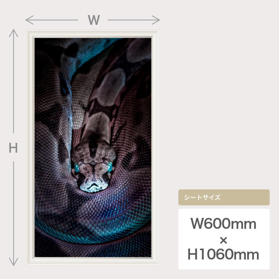 蛇 ヘビ ウォールステッカー 日本製 壁紙 爬虫類 アナコンダ スネーク