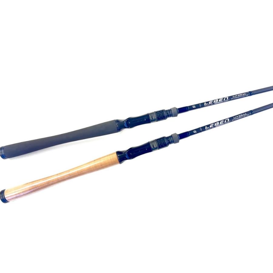 即納 デジーノ レーベン リベラル DLL-C67MLRST1s : ルアーショップB.B