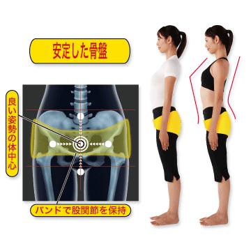 送料無料/ヘルスパワー バランサー バンド/股関節保持バンド グラつく