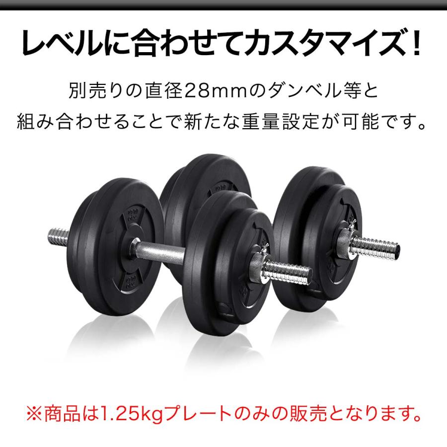セメントダンベルセット 10kg×2セット a09885 用 1.25kgプレート×2