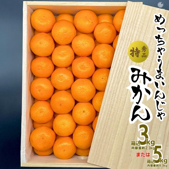 みかん めっちゃうまいんじゃ 木箱入 箱込約5kg（内容量4.3kg） みかん